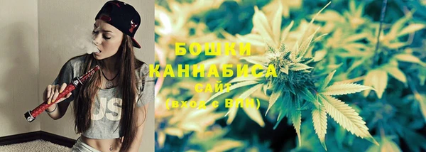 тгк Ладушкин